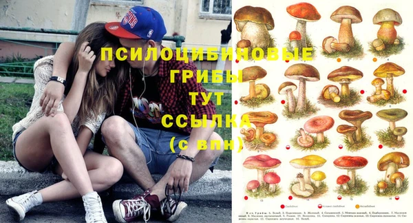 apvp Алексеевка