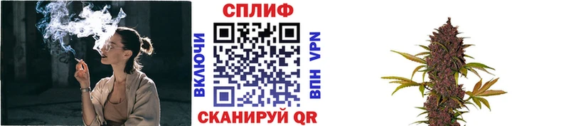 Бошки Шишки сатива  Боровичи 